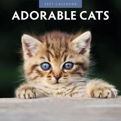 Adorable Cats Kalender 2027