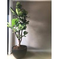 Vase The World Louisiana black Ø60 x H38 cm - thumbnail