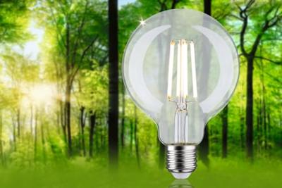 Paulmann 29123 LED-lamp Energielabel A (A - G) E27 4 W Warmwit (Ø x h) 95 mm x 138 mm 1 stuk(s)