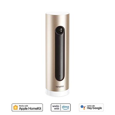 Netatmo NSC01-EU Slimme Binnencamera, Wifi, Bewegingsdetectie, Nachtzicht, Zonder Abonnement, Zwart/Goud