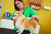 Haarstijl Andis Staal Plastic Hark Draaiend - thumbnail