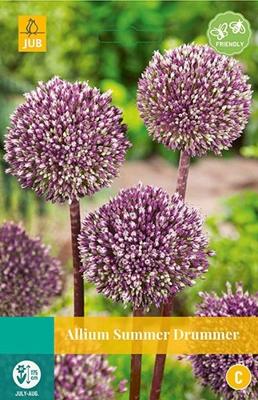 Allium summer drummer 3 bollen