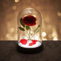 Disney Enchanted Rose Lamp - thumbnail