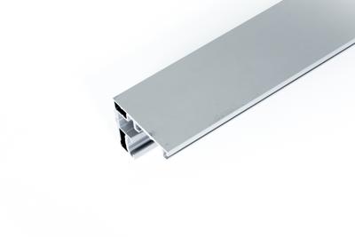 XP-100KG BREED MUURPROFIEL L=6000MM-F1