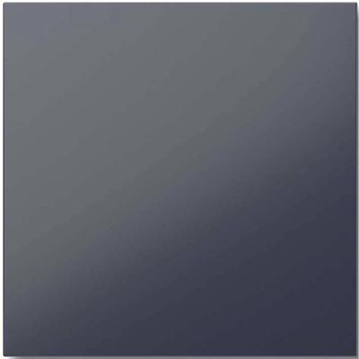 Siedle 210004903-00 Functiemodule voor Accessoires voor deurintercom Antraciet