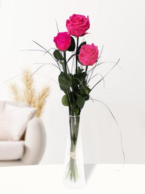 Drie roze long life rozen inclusief vaasje