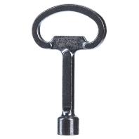 Rittal SZ 2545.000 Schakelkast sleutel 7 mm drievlak Staal 1 stuk(s)