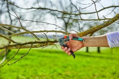 Gardena Pro snoeischaar promo