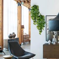 Pilea Peperomioides kunst hangplant 60cm - thumbnail