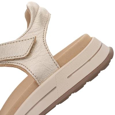 Ara 1234804 - alle Ara 1234804 - alle