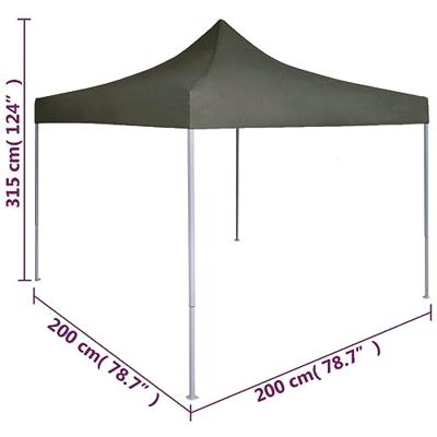 Partytent professioneel inklapbaar 2x2 m staal antraciet