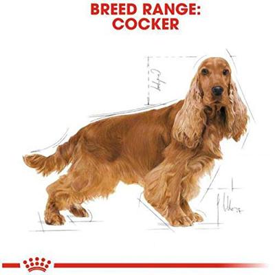 Royal Canin Cocker Adult hondenvoer 12kg - thumbnail