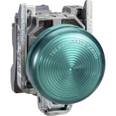 Schneider Electric XB4BVBG4EX Verlichte melder 1 stuk(s)