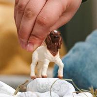 Schleich 14930 Boer Geit Jong - thumbnail