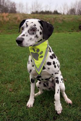 TRIXIE REFLECTERENDE BANDANA GEEL XS-S 22-28 CM 2 ST