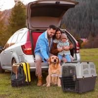 Skudo transportbox iata taupe / zand 79x59x65 cm - thumbnail