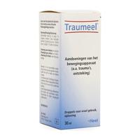 Traumeel S 30 Milliliter - thumbnail