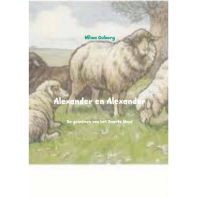 Alexander en Alexander - Wilma Ouborg - Paperback (9789402127119) Alexander en Alexander - Wilma Ouborg - Paperback (9789402127119)