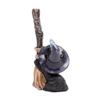 Heksen Zwarte Kat met bezem - thumbnail