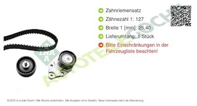 Distributieriemset 530033210