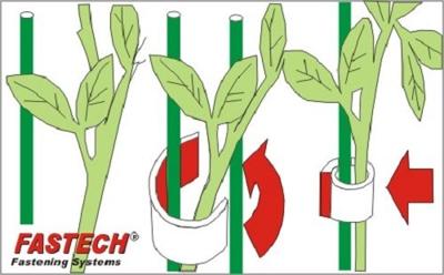 FASTECH® 701-322-Bag Klittenband Voor planten en tuin Haak- en lusdeel (l x b) 5000 mm x 10 mm Groen 5 m