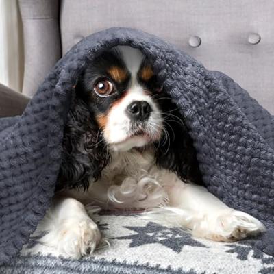 Nobleza Hondendeken 120x100cm Pluizige Fleece Huisdier Dekens voor Kat Puppy Wasbaar Zacht Warm Kitten Slaapmat Bed Pad Grijs