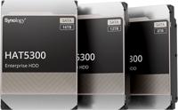 Synology HDD HAT5300 16TB - thumbnail