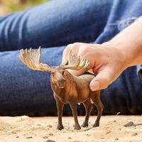 Schleich elandstier 14781 - thumbnail