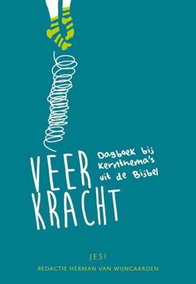 Veerkracht (Paperback)