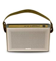 iDance Slim Blue-2 GD Draagbare Radio RosÃ©goud - thumbnail