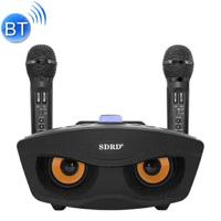 SD-306 2 in 1 familie KTV draagbare draadloze Live Dual microfoon + Bluetooth Speaker(Black) - thumbnail