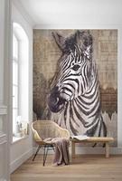 Komar Home; Komar Colours Fotobehang Zebra - X4-1010 - thumbnail