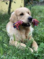 Happy Pet Twist-tee 2 knoop tugger - thumbnail