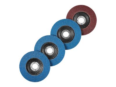 PARKSIDE Haakse slijper accessoires (Lamellenschijvenset)