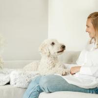 Trixie hondenmand harvey grijs / wit - thumbnail