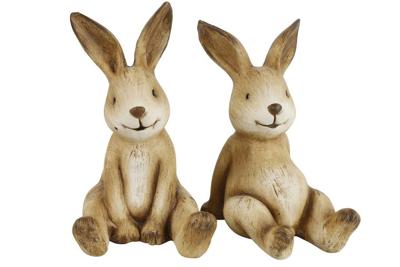 Haas Kevin 9.3x8.3x14.2 cm bruin a2 Countryfield - Countryfield