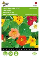 Tropaeolum, Oost-Indische kers Tom Thumb gemengd - thumbnail