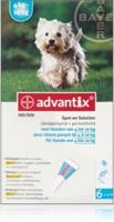 Advantix vlooien- en tekenpipet voor honden 100/500 (4 tot 10 kg) 6 pipetten - thumbnail