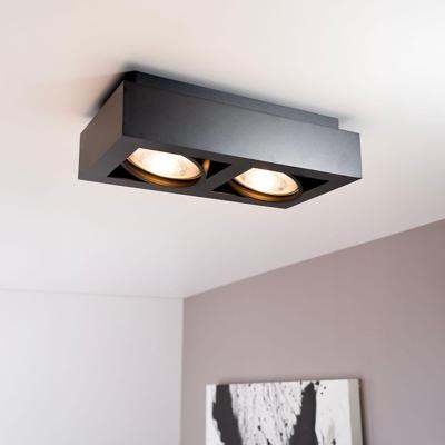 Castor nero II by LUSENZ - Rechthoekige 2-lichts plafondlamp met richtbare spots en matzwarte coating