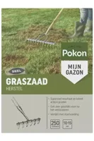 Pokon graszaad herstel 250 gram - thumbnail