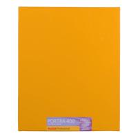 Kodak Portra 400 8X10" 10Sh - thumbnail