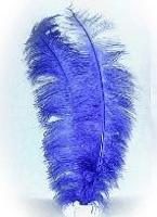 Spadonis Donker blauw - thumbnail