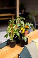 Capi 'made with' groove bloempot 28x27 cm zwart - thumbnail