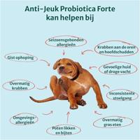 Dogsuppy Anti-Jeuk Probiotica Forte Chewies - thumbnail