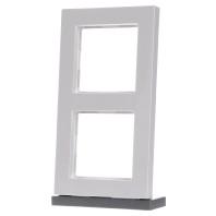 Dubbel afdekraam A550 wit A5582BFWW Jung