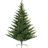 everlands - thumbnail