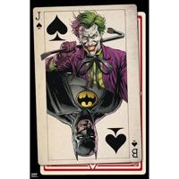 Poster DC Comics - Playing Card 61x91,5cm - thumbnail