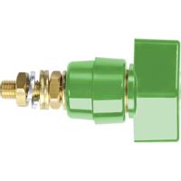 Schützinger Poolklem Groen 63 A 1 stuk(s) - thumbnail