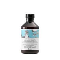 Davines Well Being Shampoo - thumbnail