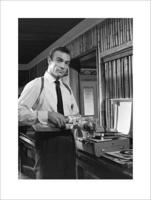 Kunstdruk James Bond - Vodka Martini 60x80cm - thumbnail